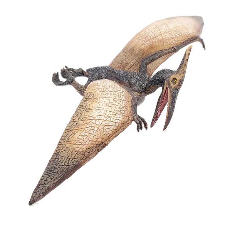 Ptéranodon - 23x23cm-0