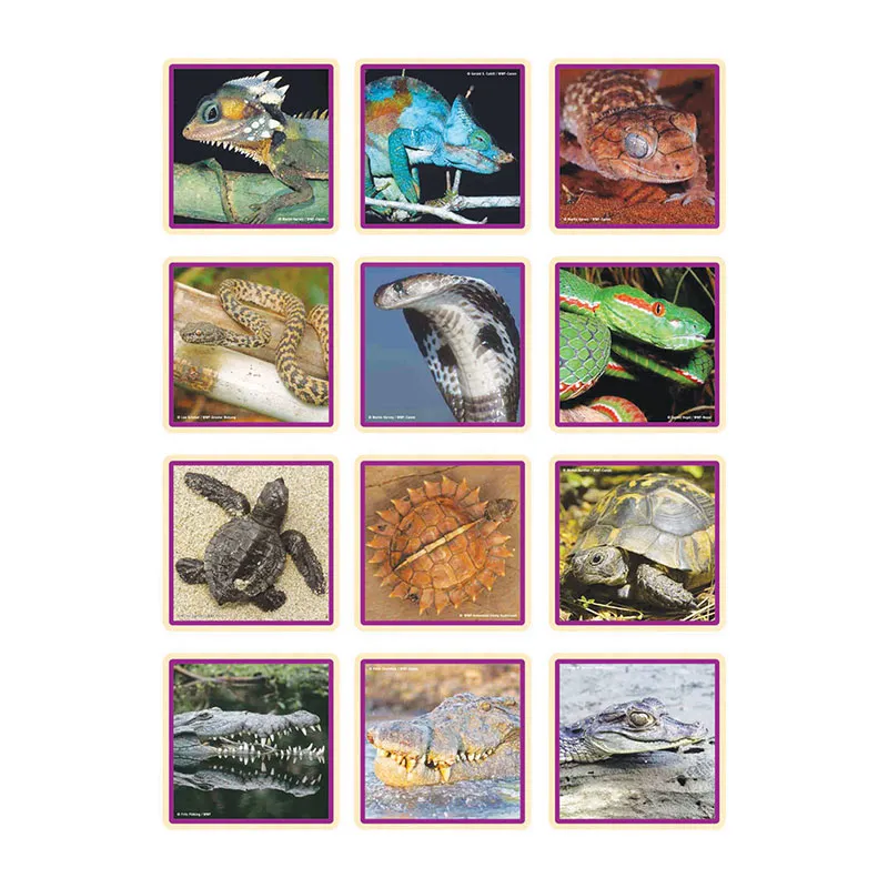 Jeu de Memory géant WWF Reptiles 28pcs - 36m+-1