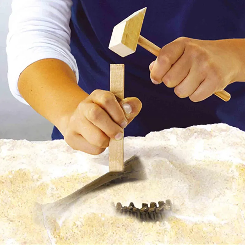 Kit de fouille 2en1 Dino. & Squelettes T-rex - 5+-2
