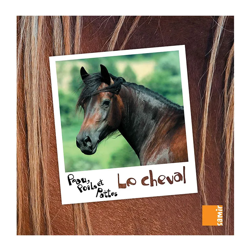 Peau, poil et pattes Cheval - 4+-0