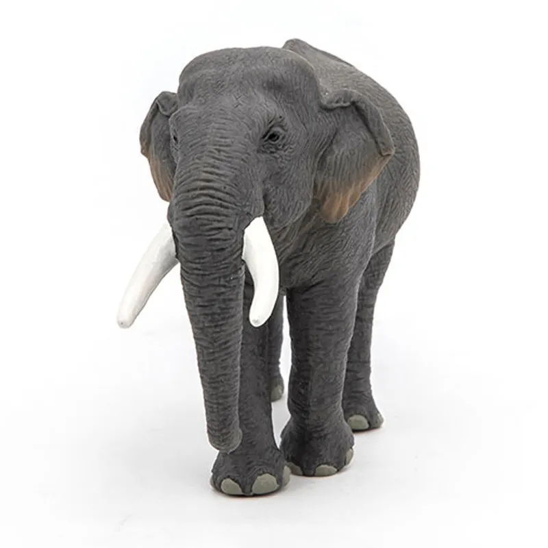 Éléphant d'Asie - 14,44x10,25cm-5