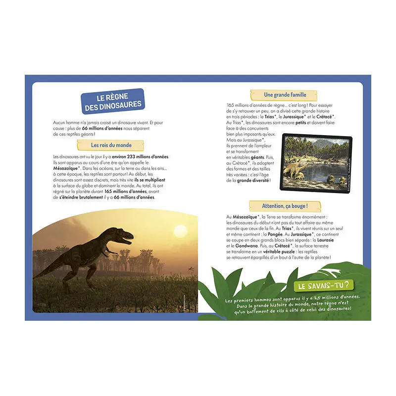 À la découverte des dinosaures - 5+-1
