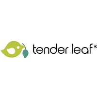 TENDER LEAF TOYS