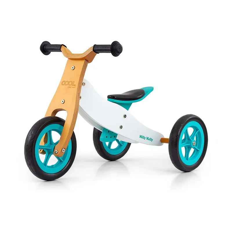 Draisienne 2en1 Cool Classic Menthe - 18m+-1