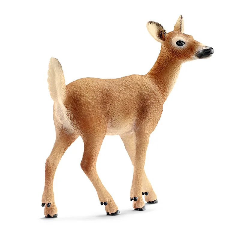 Biche de Virginie V1 - Wild life-0