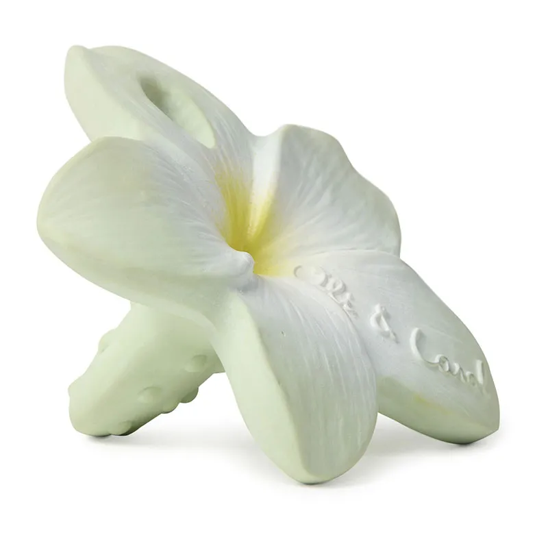 Mini anneau de dentition Caoutchouc Chewy Bali la fleur - 0m+-1