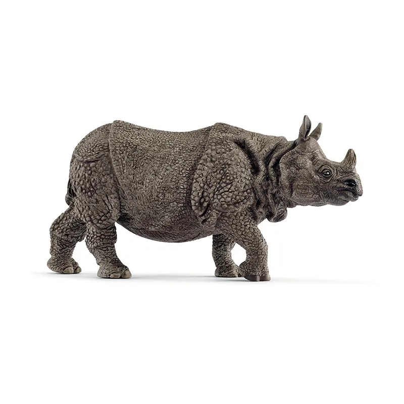 Rhinocéros indien - Wild Life-0