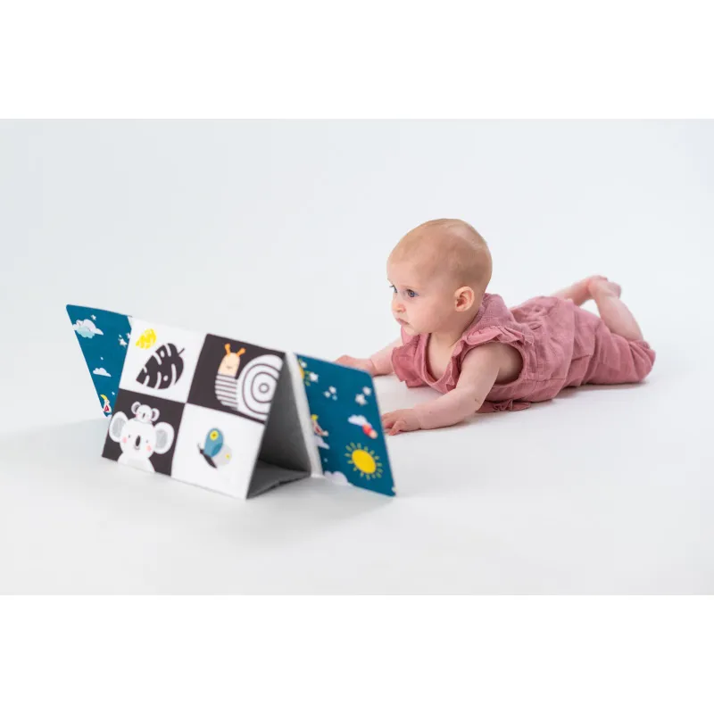 Livre miroir chevalet Koala - 0m+-4