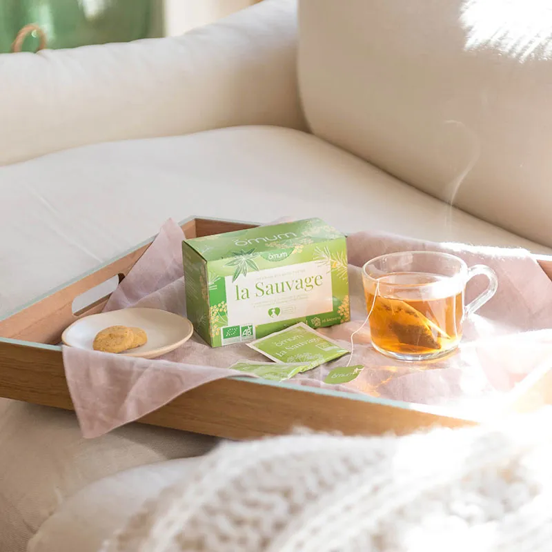 Infusion BIO La Sauvage verveine rooibos fenouil - 20 sachets-4
