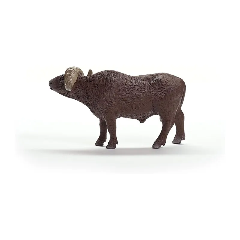 Buffle d’Afrique - Wild Life-2
