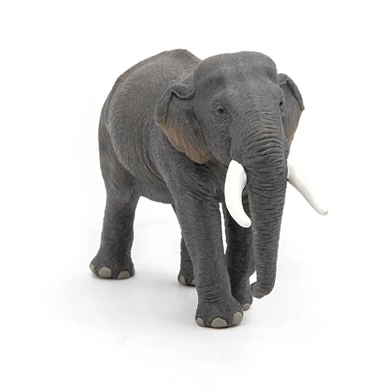 Éléphant d'Asie - 14,44x10,25cm-4