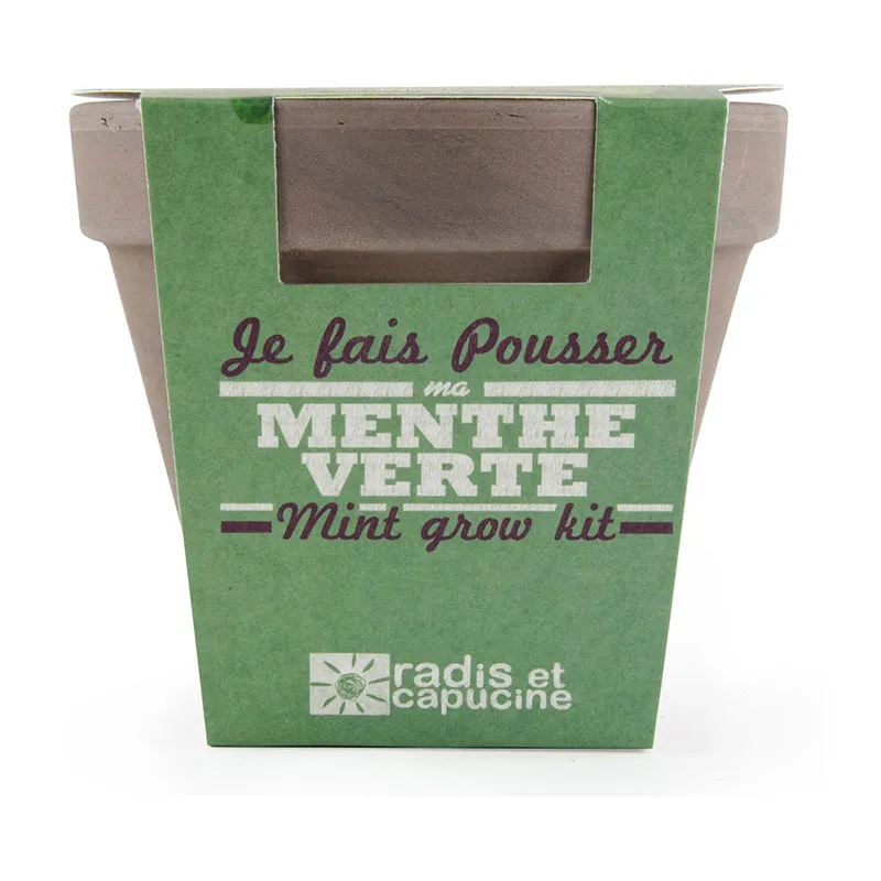 Pot de culture avec coupelle - Menthe verte-2