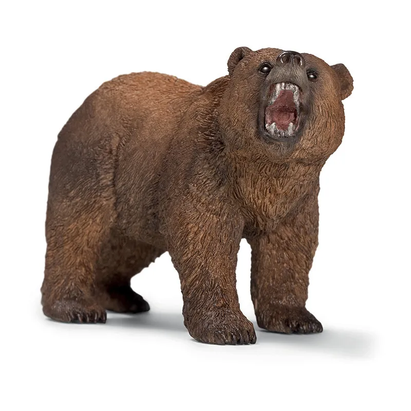 Ours Grizzly - Wild Life-0