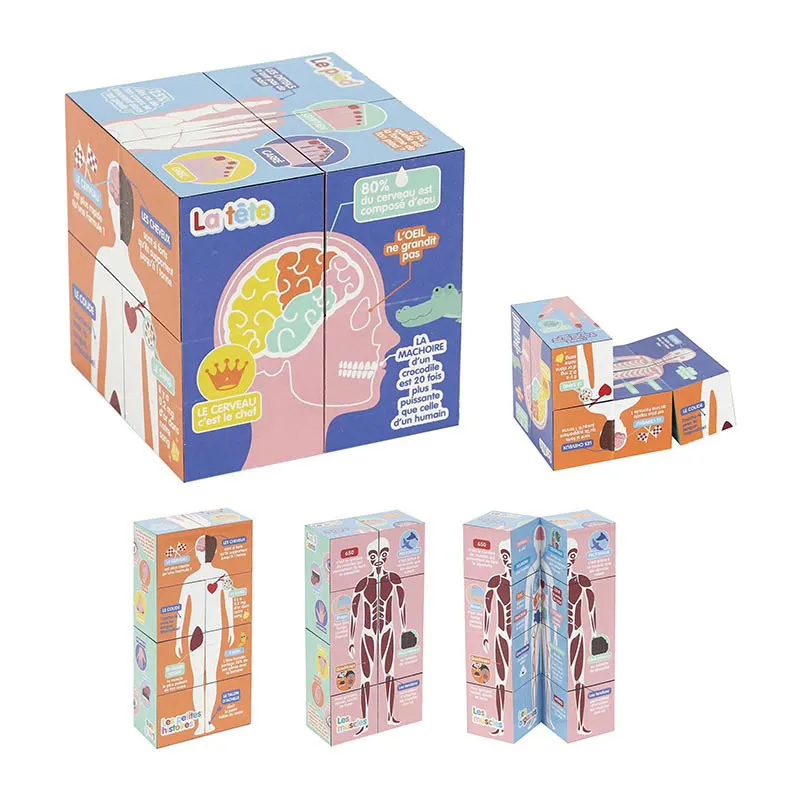 Cube éducatif Corps humain - 28,5x7x7cm-0