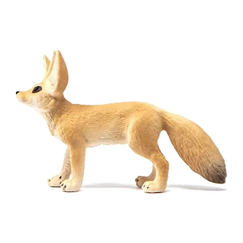 Fennec - Wild Life-2