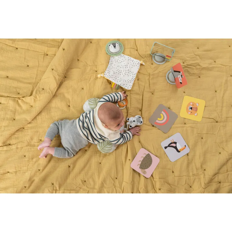 Coffret d'éveil Nouveau-né Savane - 0m+-25