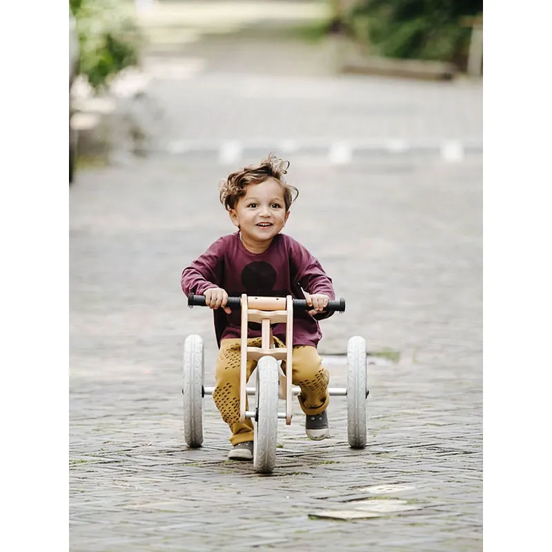 Tricycle 3en1 Original Pingouin - 12m+-9