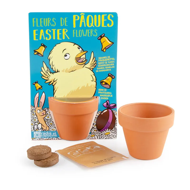 Kit à semer - Œuf de Pâques Paquerette-2