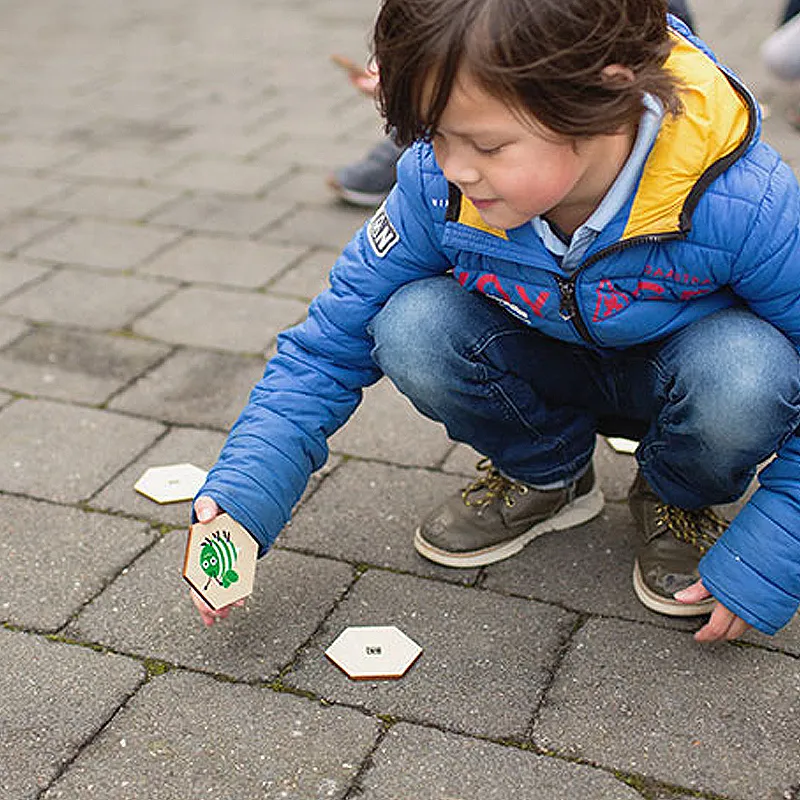 Jeu de recherche active Insectes - 3+-1