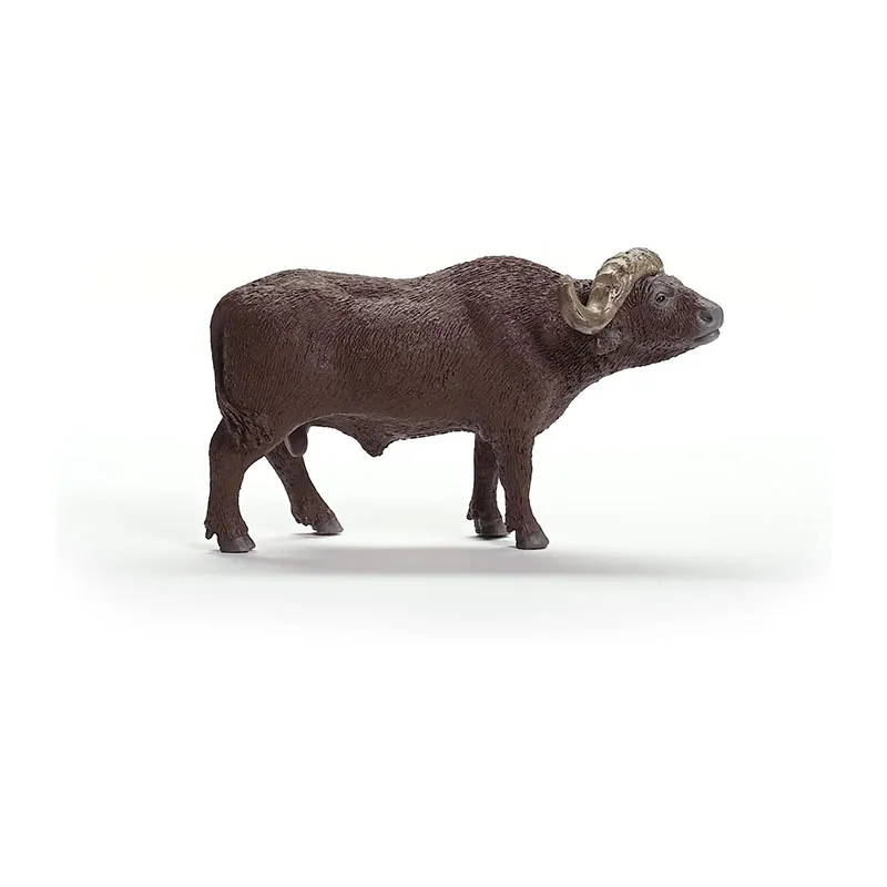 Buffle d’Afrique - Wild Life-3
