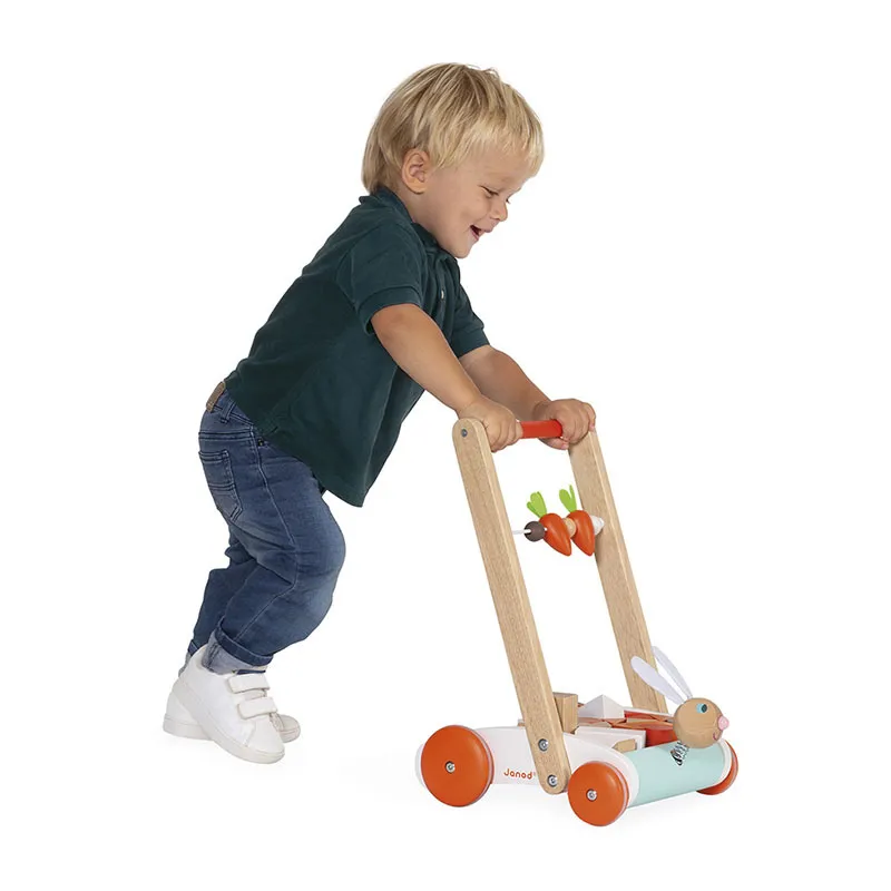 Chariot de marche Lapin + 19 cubes - 12m+-8