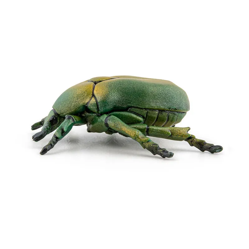 Cétoine doré - 4,3x4x1,5cm-6