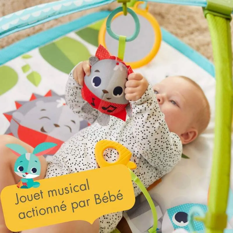 Tapis d'éveil avec arche Prairie - 0m+-7