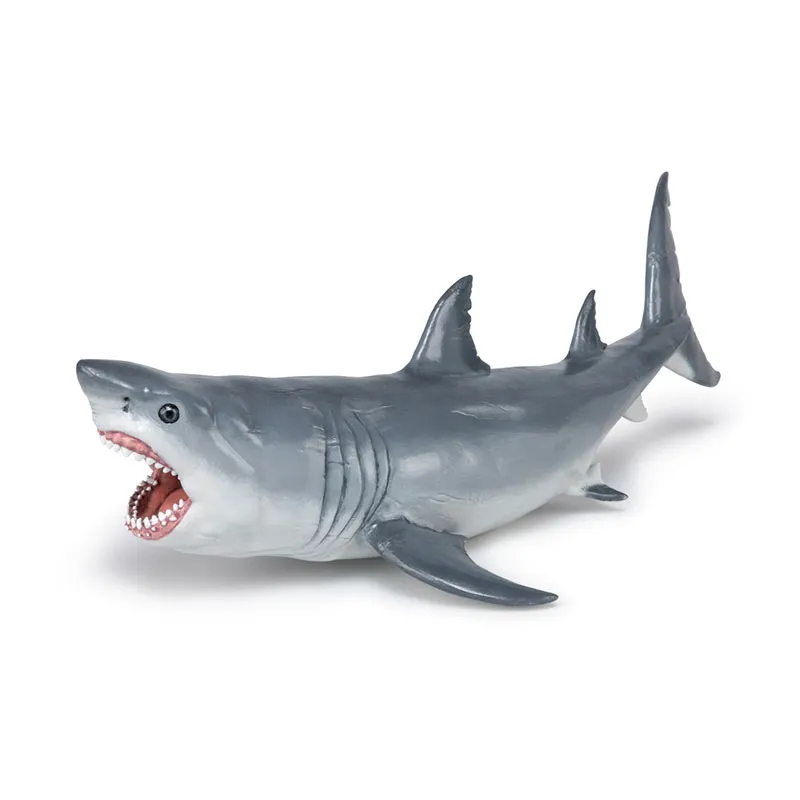 Mégalodon - 22x12x7cm-2