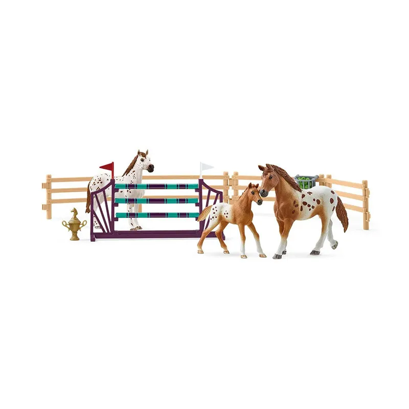 Entraînement au concours - Horse Club-0