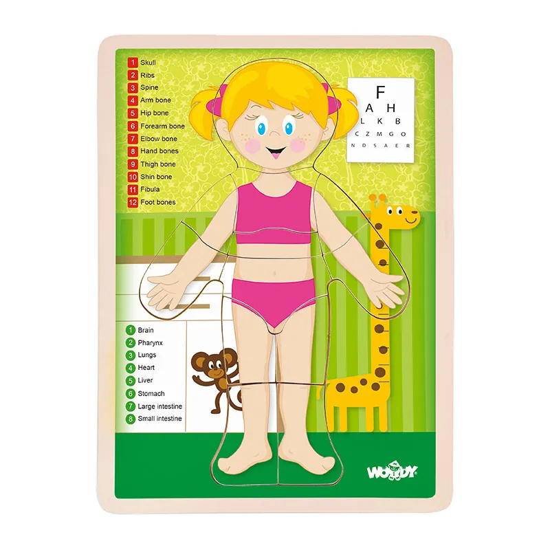 Puzzle Corps humain anglais Fille 13pcs - 36m+-0