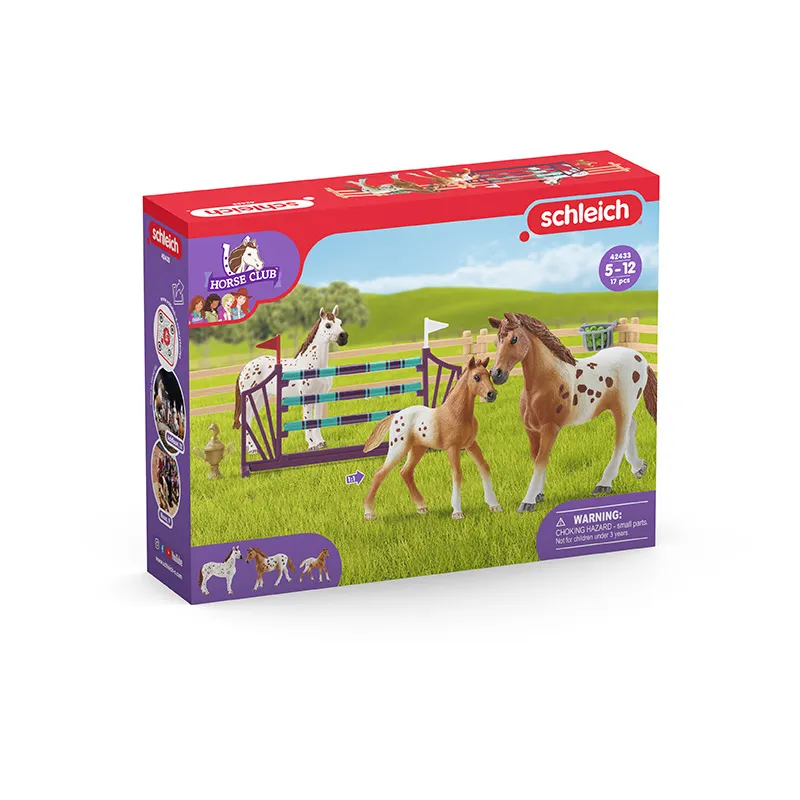 Entraînement au concours - Horse Club-7