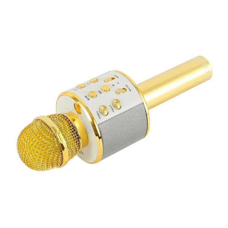 Micro karaoké Bluetooth - Gold-1