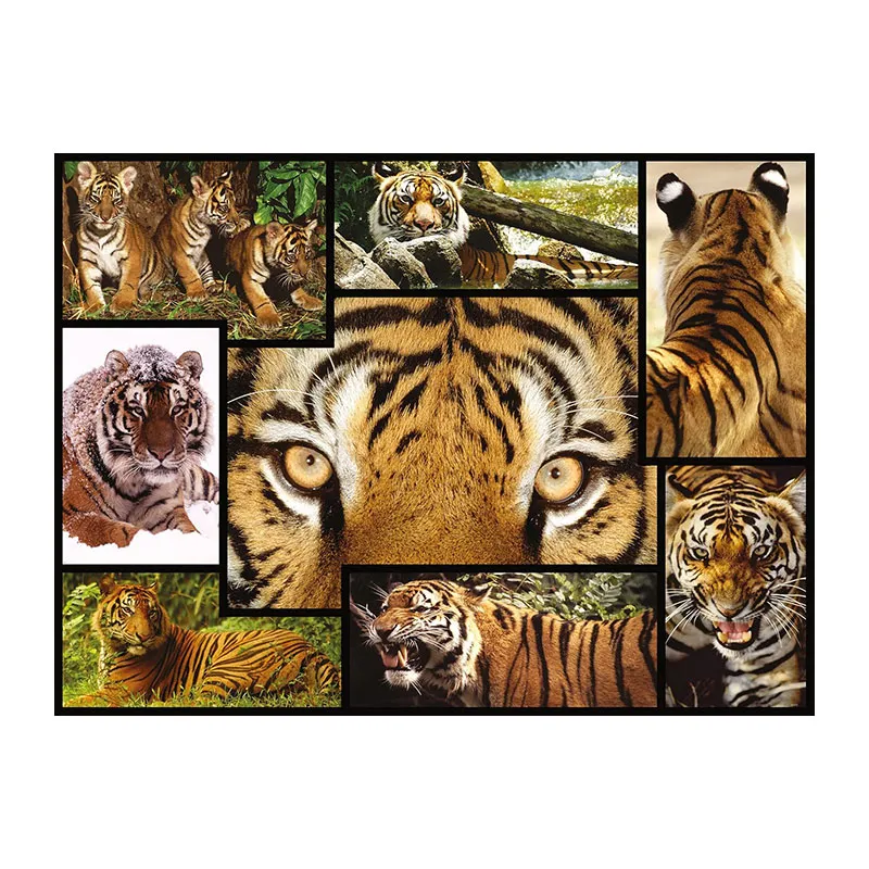 Puzzle Les tigres - 1000pcs-1