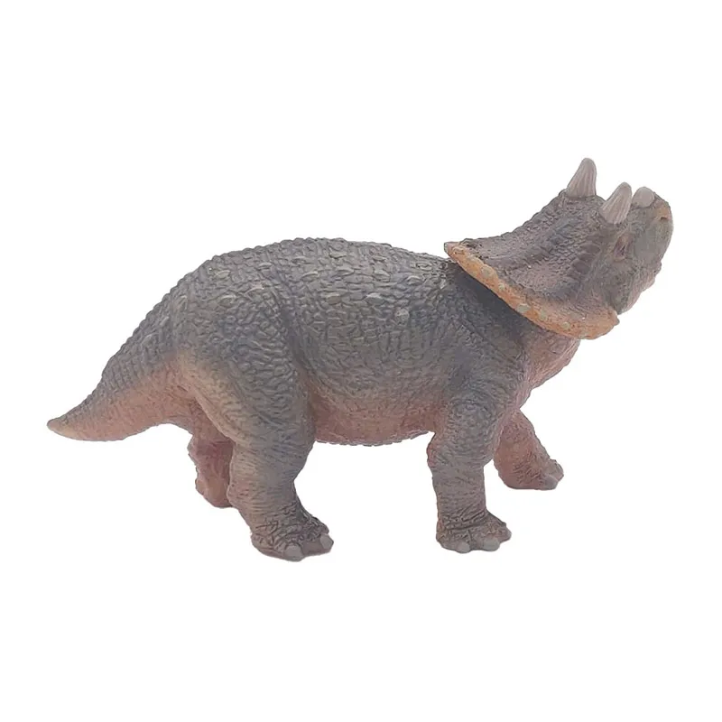 Jeune tricératops - 9,7x6,3cm-5