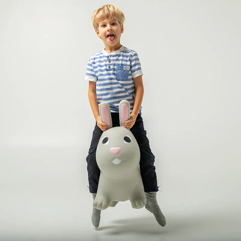Lapin sauteur Gris - 12m+-3