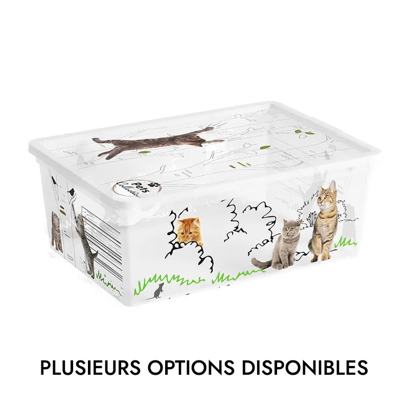 Boîte déco. C Box Style Cube Pets collection Transp. - Plusieurs contenances dispos.-1