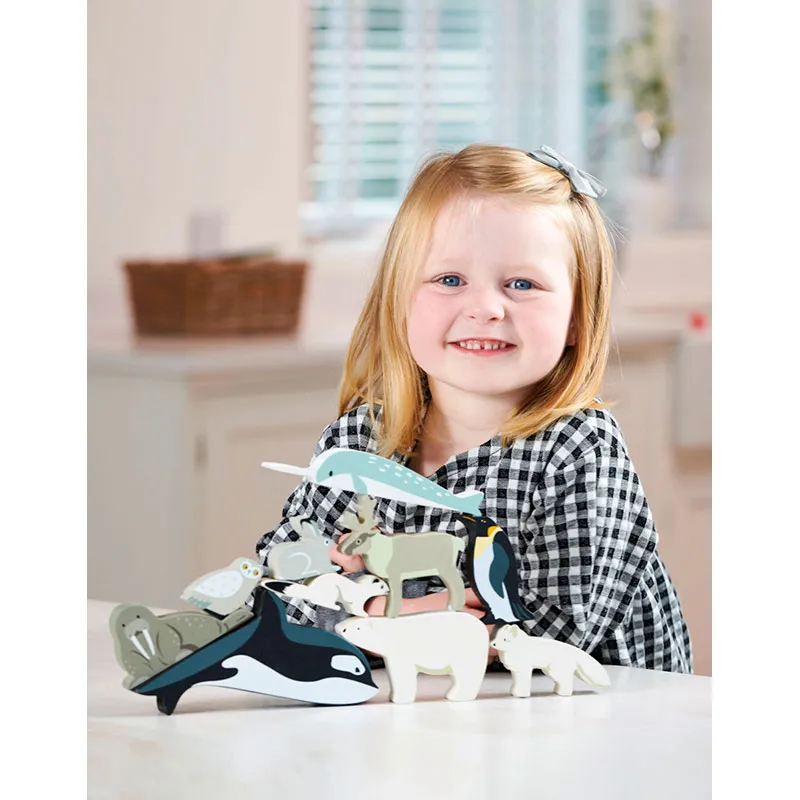 Set Animaux Polaires - 36m+-3