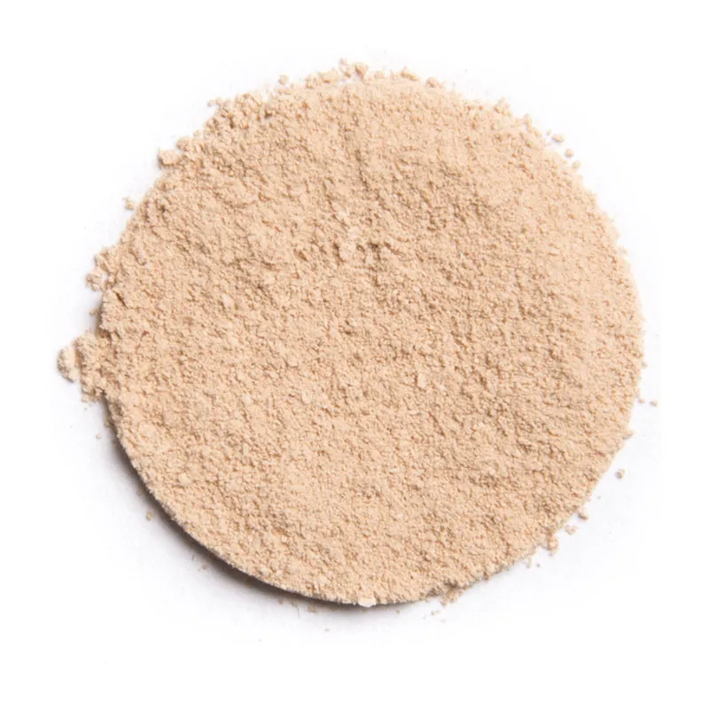 Poudre Compacte BIO/VEGAN 01 Beige Diaphane - 4,5g-2