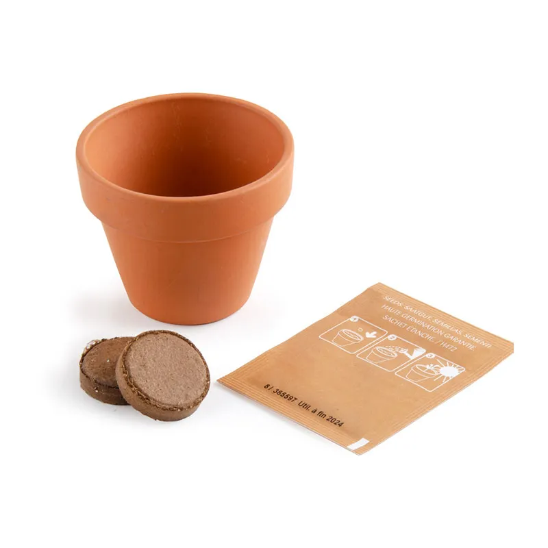 Kit à semer - Œuf de Pâques Paquerette-3