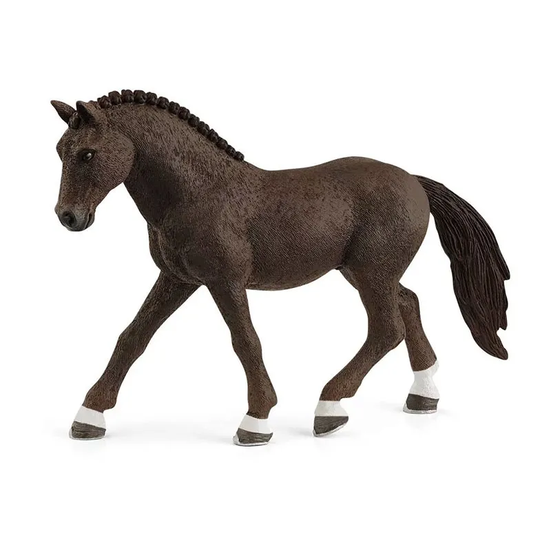 Poney de selle allemand hongre - Horse Club-0
