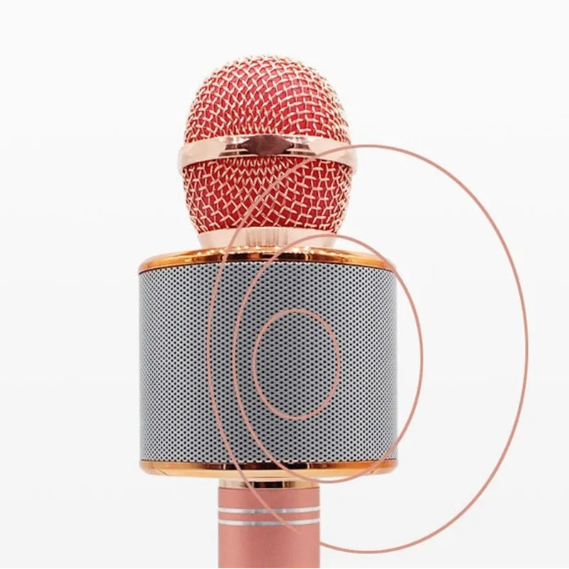 Micro karaoké Bluetooth - Rose Gold-2
