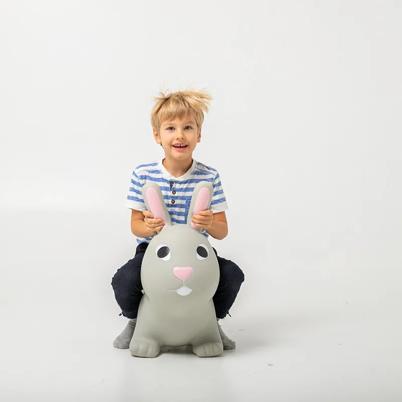 Lapin sauteur Gris - 12m+-1