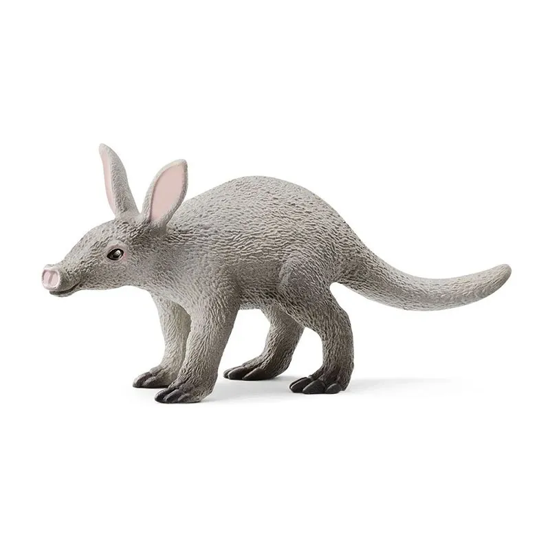 Oryctérope - Wild life-0