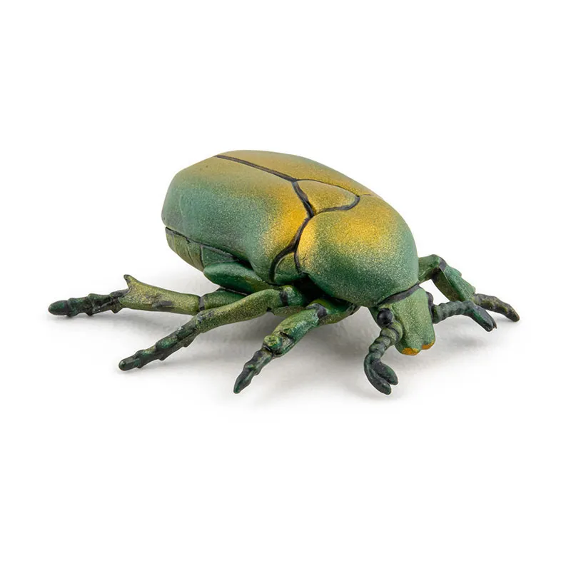 Cétoine doré - 4,3x4x1,5cm-3