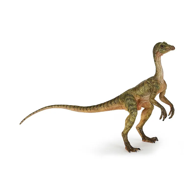 Compsognathus - 17x12cm-6