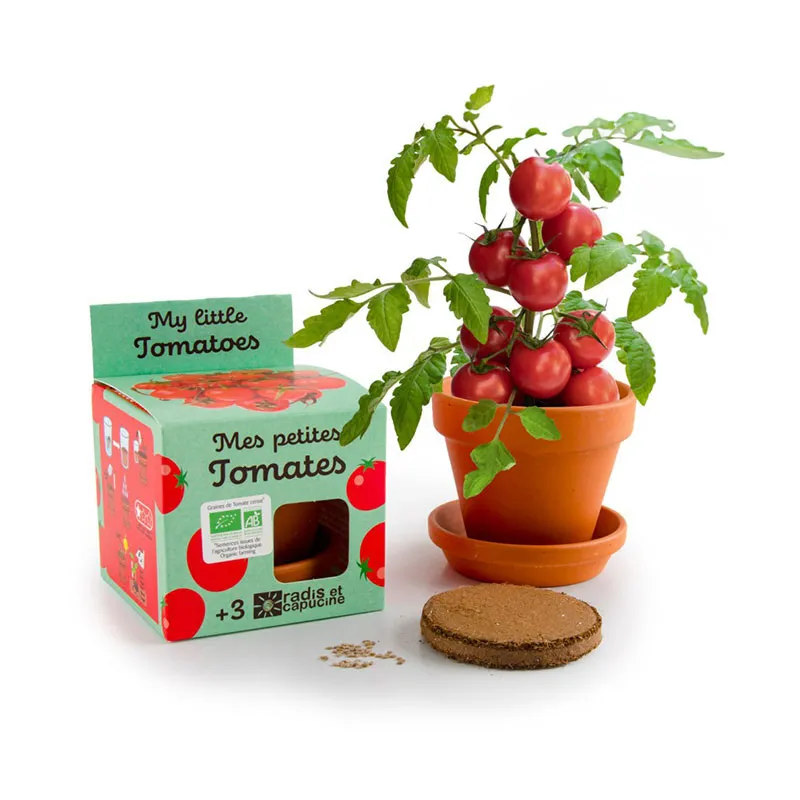 Pot de culture av. coupelle - Tomates cerise BIO-0